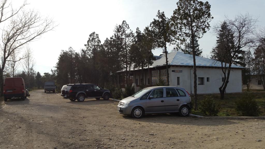 Hotel Conacul Balta Albă Esterno foto